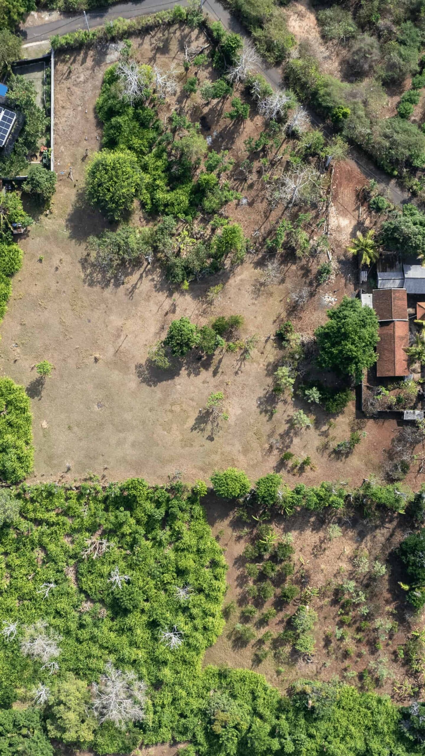 Palm Villas Drone view 1
